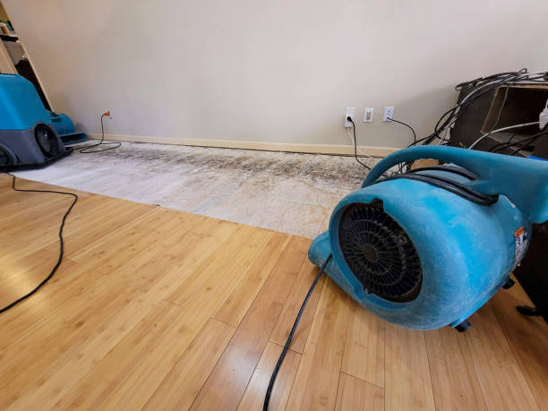 Professional Ceiling Water Damage Repair technician working in New London, NH